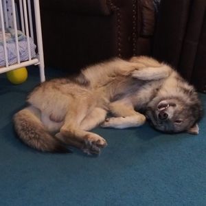 Meet your Posher, Stacy